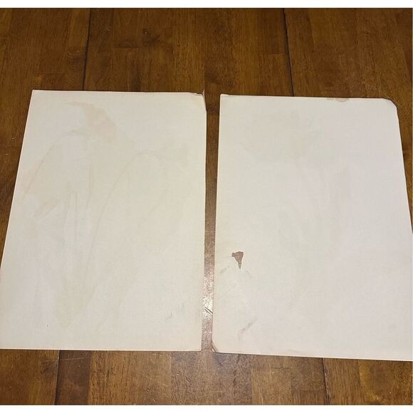 Flowers Drawn by Arlette Davids Text by Princess Bibesco prints Yellow 10x14” - Picture 7 of 9